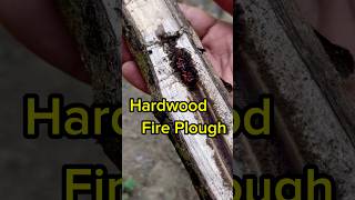 Hardwood Friction Fire Plough fireplow [upl. by Ellenhoj397]