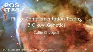 Complementation Testing in Phage [upl. by Livvyy]