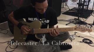 Fender Telecaster Thinline Vs La Cabronita Tone [upl. by Roanna417]