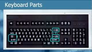 Learn THE KEYBOARD Techniques  Basic Personal Computer Tutorials How to [upl. by Sulihpoeht]