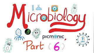 Microbiology  Moraxella catarrhalis Neisseria gonorrheae Neisseria meningitidis Picmonic Part 6 [upl. by Kuska511]