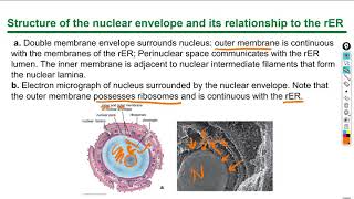 Histology lecture 1 chapter 3 [upl. by Laurentia541]