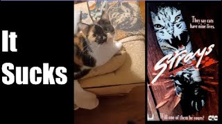 Strays 1991 Movie Review [upl. by Mandle207]