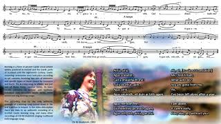 Traditional Irish Keening Song  Cití Ní Ghallchóir  Kitty Gallagher 1951  Transcriptionlyrics [upl. by Ehcnalb409]