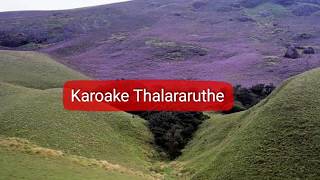 Thalararuthe maname karaoke [upl. by Satterlee]