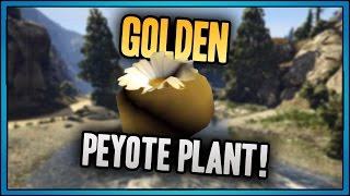 GTA 5 7 Golden Peyote plants found and location [upl. by Carder]