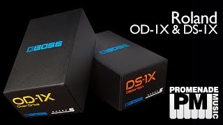 BOSS OD 1X OverDrive and DS 1X Distortion [upl. by Schenck]