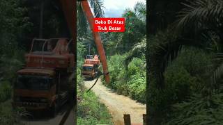 Beko Di Atas Truk Trailershorts short viralvideos trending heriadi mobiltrukanimasi bus truk [upl. by Ellata915]