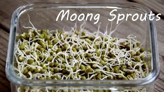 How to Sprout Moong Mung Beans At Home  Easy Kitchen Tips and Recipes By Shilpi [upl. by Binny391]