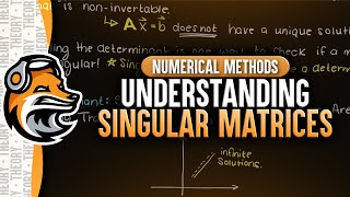 Understanding Singular Matrices  PreCalculus [upl. by Adnorehs]