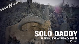 Free Range Aoudad SOLO Hunt [upl. by Wiersma108]