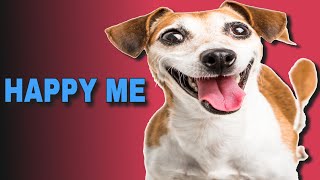 5 Sound That Make Dogs Happy  HAPPY ME [upl. by Ihtac]