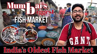 Sassoon Dock Fish Market  Biggest Fish Market In Mumbai  Your Gulshan [upl. by Nelyag587]