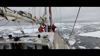 Sailing in Antarctica yacht Selma [upl. by Kelvin]