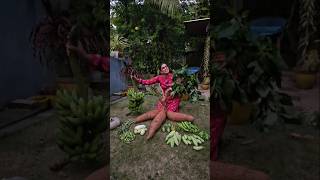 ഇത്രയൊക്കെ പോരേ  short Harvest Youtube viral short Agriculture Trending Vegetables harvest [upl. by Norag]