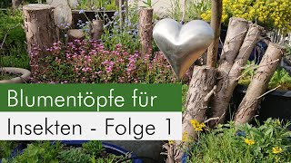 Insektenfreundliche Blumenkübel Folge 1  SteingutTopf [upl. by Iznekcam]