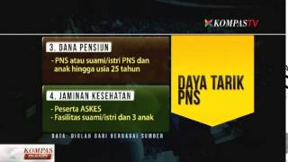 Mulai 2015 Tidak Ada Penerimaan PNS [upl. by Atinahs664]