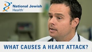 What Causes a Heart Attack [upl. by Yttocs]