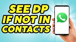 How to See Whatsapp DP if Not in Contacts  2024 [upl. by Babb982]