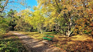 Herbststimmung im Arboretum des Botanischen Gartens Greifswald [upl. by Zapot522]