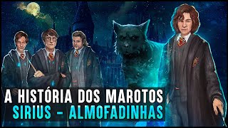 HOGWARTS UMA HISTÓRIA  MAROTOS ALMOFADINHAS [upl. by Kcirdef723]