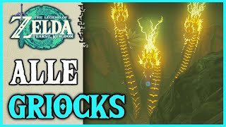 Alle Griock Fundorte und Strategie  Zelda Tears of the Kingdom Deutsch [upl. by Darcie953]