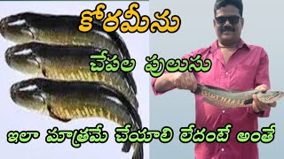 How To Make Koramenu Fish curry  Koramenu Fish Curry In Telugu  Fish  Karamchedu Village Cooking [upl. by Ayote280]