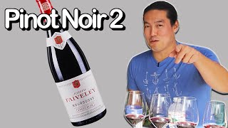 GO BACK to a wine store to buy this now Pinot Noir part 2 [upl. by Ailadi]