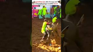 Jallikattu Winners Prize Brands Strategies shorts jallikattu alanganallur [upl. by Kisung]