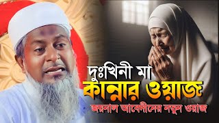 জয়নাল আবেদিনের নতুন ওয়াজ  Joynal Abedin Saheb  জয়নাল আবেদীন  Joynal Abedin Waz  Bangla Waz 2024 [upl. by Aelam434]