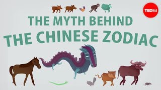 The myth behind the Chinese zodiac  Megan Campisi and PenPen Chen [upl. by Ainecey]