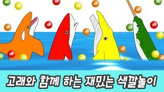 한국어ㅣ고래와 함께 재밌는 색깔놀이 어린이 동물만화 색깔공부ㅣ꼬꼬스토이 [upl. by Alekat27]