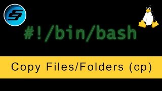 Copy FilesFolders cp  Bash Scripting [upl. by Holna]