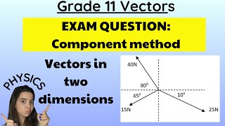 Grade 11 Vectors in two dimensions EXAM QUESTION [upl. by Caplan]