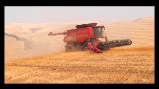 CaseIH 9250 Hillside Combine with Tracks [upl. by Annemarie]