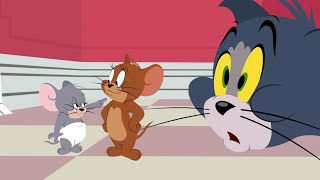 Tom and Jerry Show S 01 E 29 D  TUFFY LOVE LOOcaa [upl. by Samuel]