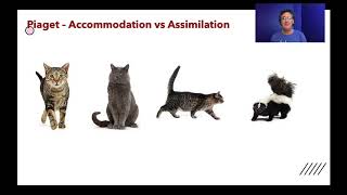 Lecture73  Generalization amp Discrimination [upl. by Eirena]