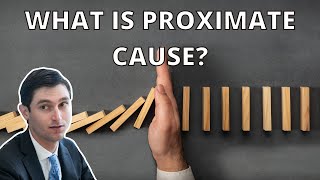 Real Lawyer Explains What Is Proximate Cause [upl. by Merle707]