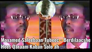 Maxamed Saleebaan Tubeec  Beerdilaacshe Hees Qaraam Kaban Solo ah [upl. by Granger]