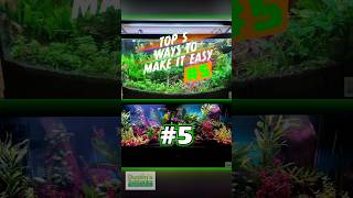 TOP 5 Ways To Make Your Planted Aquarium EASY 5 Part 1 [upl. by Annaes]