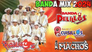 Pequeños Musical Banda Cuisillos Banda Pelillosy Mas  Bandas Viejitas Pero Bonitas Movidas Mix [upl. by Christiana524]