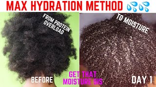 MAXIMUM HYDRATION METHOD  4C Hair RESULTS DAY 1  Detailed  Let’s get that moisture sis 💦 [upl. by Eselahs717]