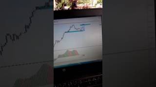 Fibo Musang FMCBR live analyst of Forex Market [upl. by Letreece]