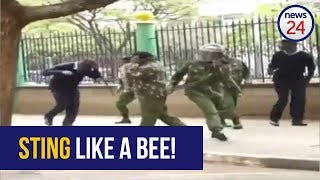 WATCH Angry bees attack protesters police outside Kenya Supreme Court [upl. by Angid]