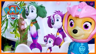 Aqua Pups Save a MerPup Concert  PAW Patrol  Toy Play for Kids [upl. by Adlitam]