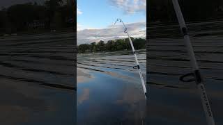 pike top water BLOW UP fishing topwaterbassfishing topwaterlure [upl. by Issac]