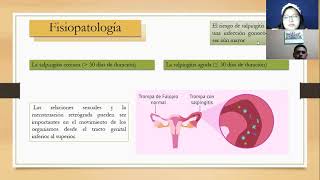 Salpingitis Fisiopatología [upl. by Friedrich]