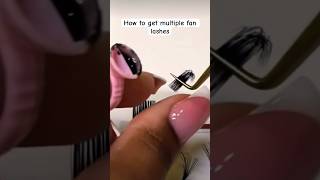 Slow and easy way to make multiple fan lashes extensions lashes shorts [upl. by Viguerie]