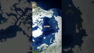 Understanding Earths Climate Zones in 60 Seconds [upl. by Atsocal]