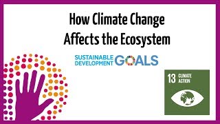 How Climate Change Affects the Ecosystem [upl. by Kally751]